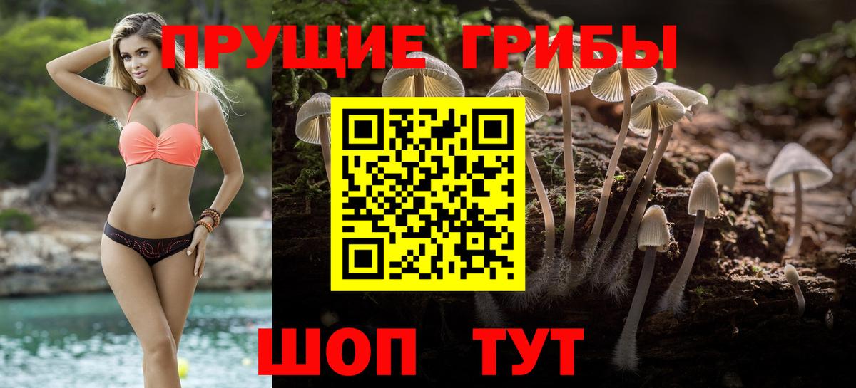 Кинель  Псилоцибиновые грибы мухоморы  Псилоцибиновые грибы Magic Shrooms  Вход с VPN 