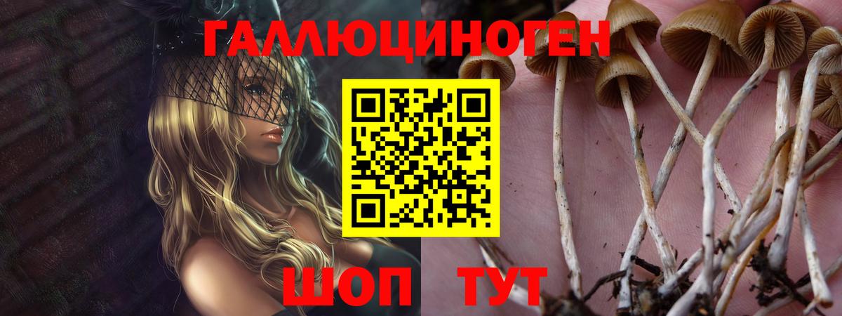 Галлюциногенные грибы мицелий Кинель